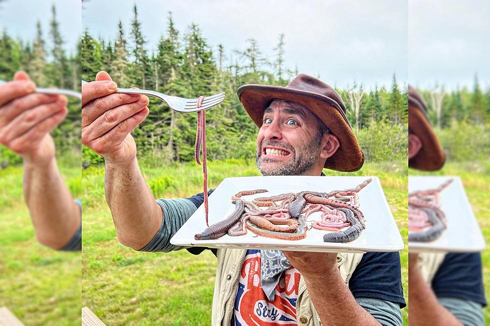 2 Travel Show Hosts Team Up to Find These 3 Bizarre Marine Worms in Maine