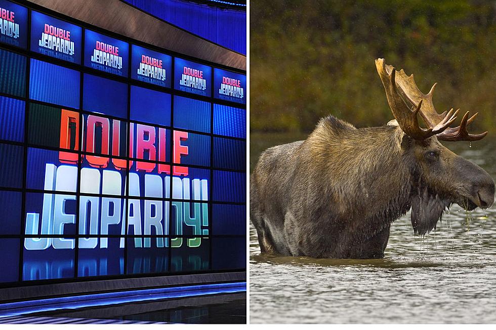 ‘Jeopardy!’ Contestant EMBARRASSES New Hampshire and Maine