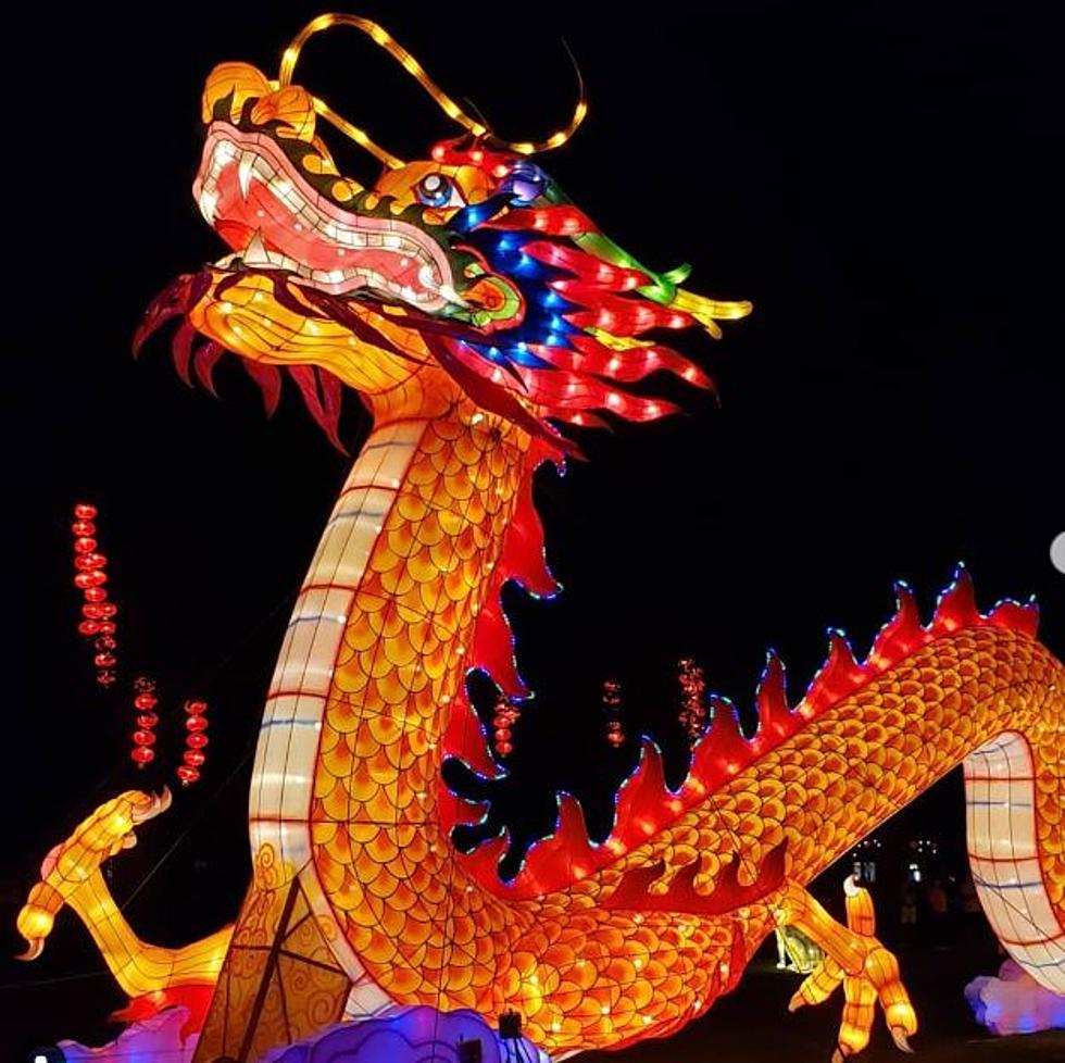 Boston Lights: Franklin Zoo Hosts 72 Acres of Glowing Animals and 80-Foot Dragon
