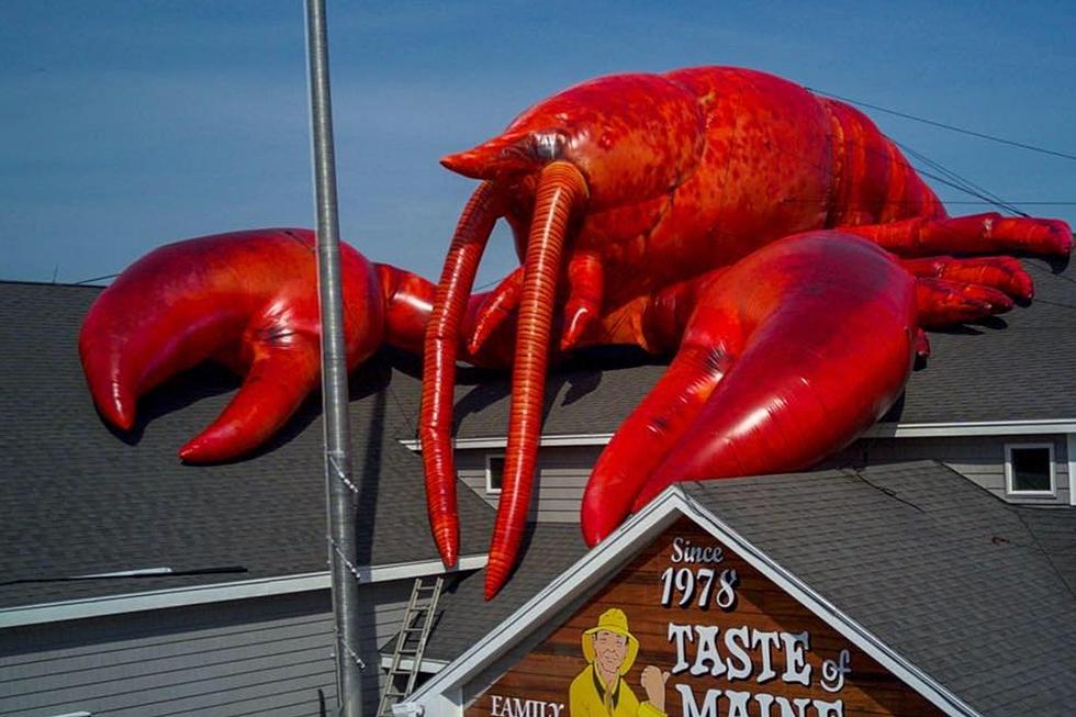 World's Largest Inflatable Lobster Sits Atop a Maine Restaurant