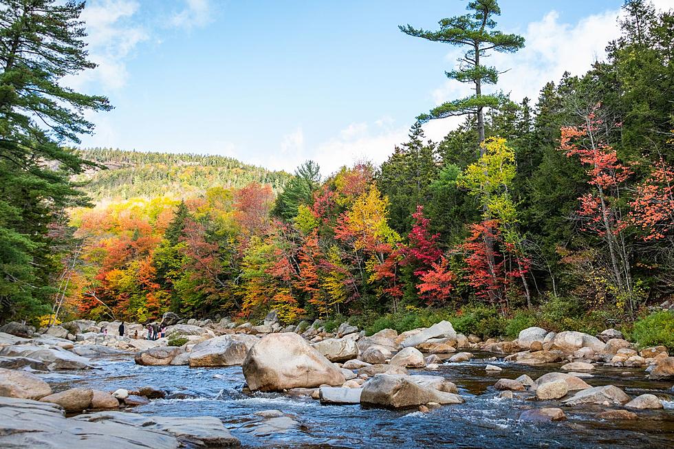 Immerse Yourself in New Hampshire’s Fall Foliage on These 8 Hiking Trails