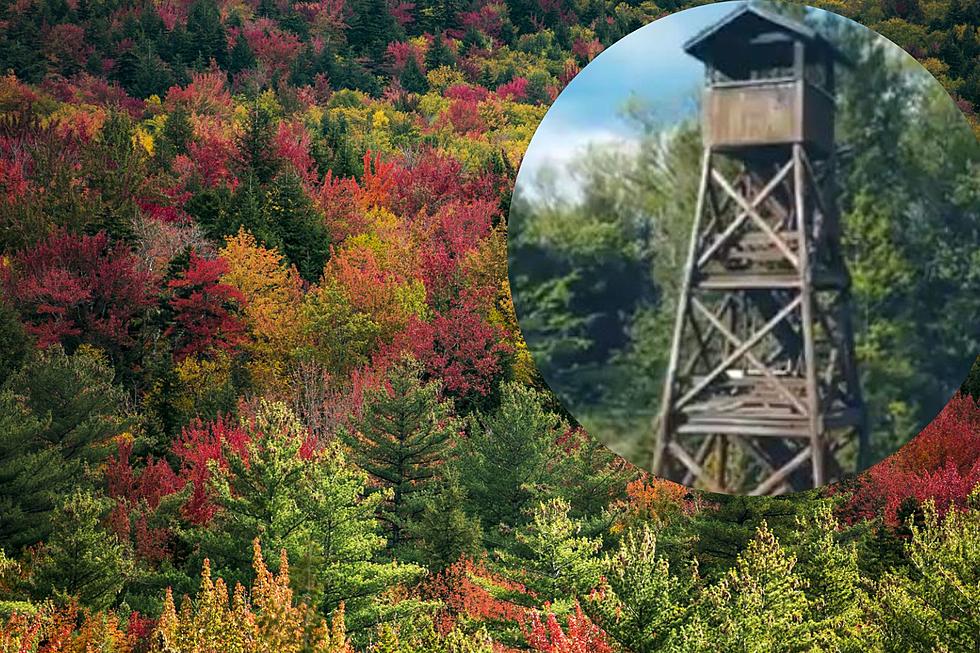 Abenaki Tower on Lake Winnipesaukee is the Perfect New Hampshire Fall Hike for Kids