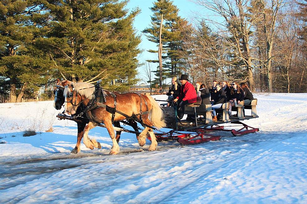 Experience Enchanting Winter Magic With Horse-Drawn Sleigh Rides in New Hampshire