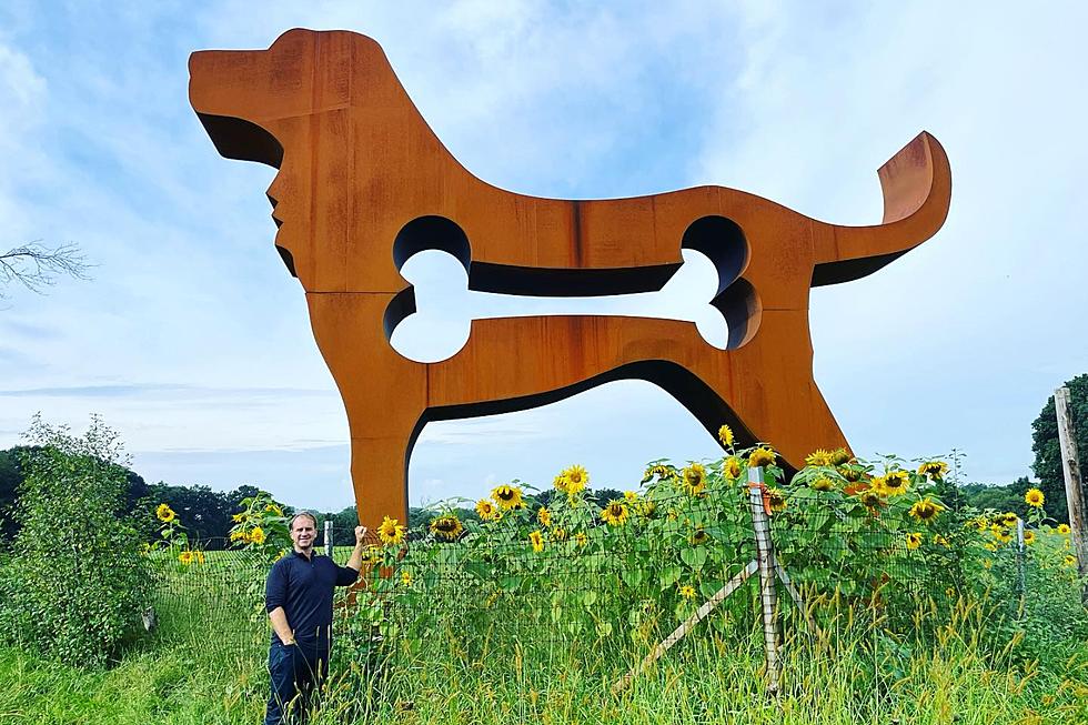 What&#8217;s the Deal With the 26-Foot-Tall Metal Dog in Massachusetts?