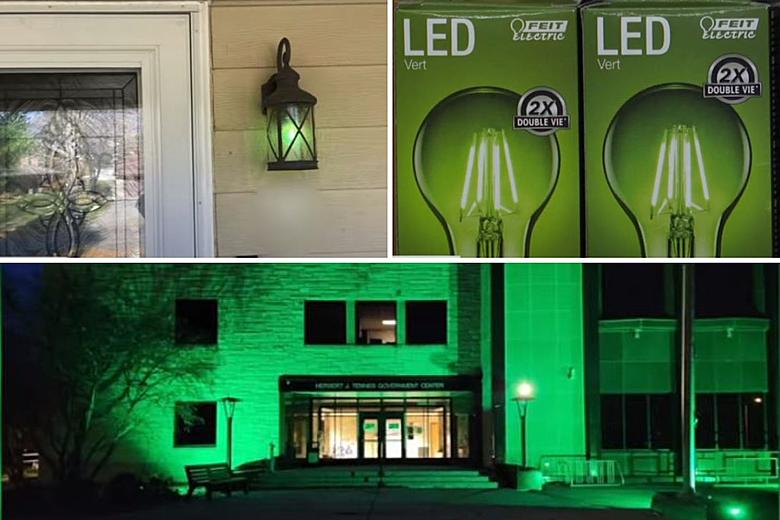 Why Buy Green Light Bulbs for Your Outdoor Lights in New England?
