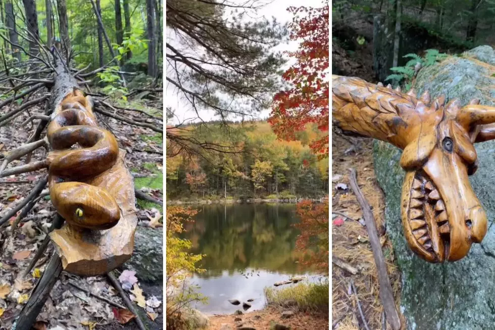 Take Your Family on This Historically Unique Trail With Wooden Creatures Along the Way
