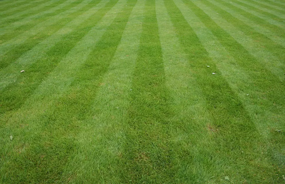 Lawn cut with stripes