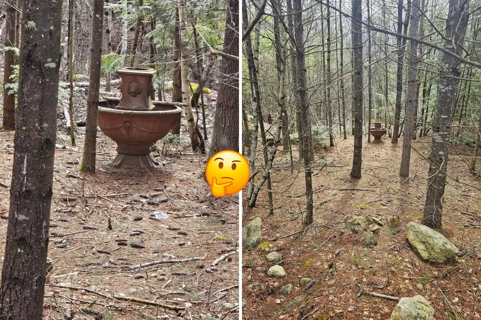Abandoned Fountain in Bedford, New Hampshire. Raises Some Eyebrows
