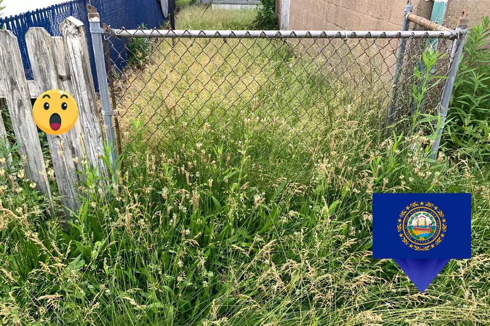 This New Hampshire City Will Send You a ‘Judgy’ Letter if Your Grass is Overgrown