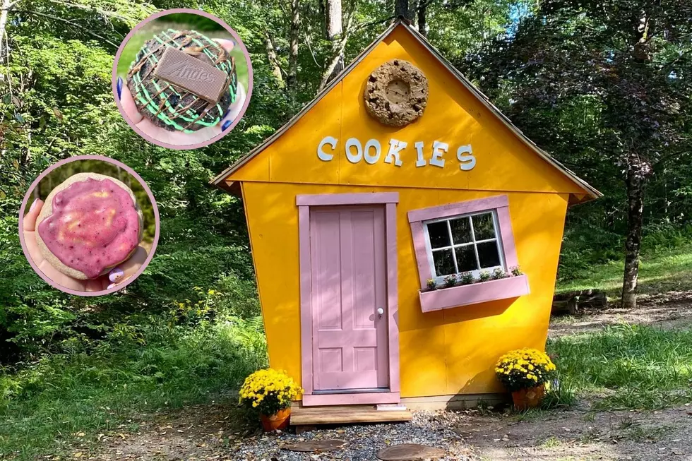 Visit This Whimsical Cookie Cottage in the Woods of New Hampshire