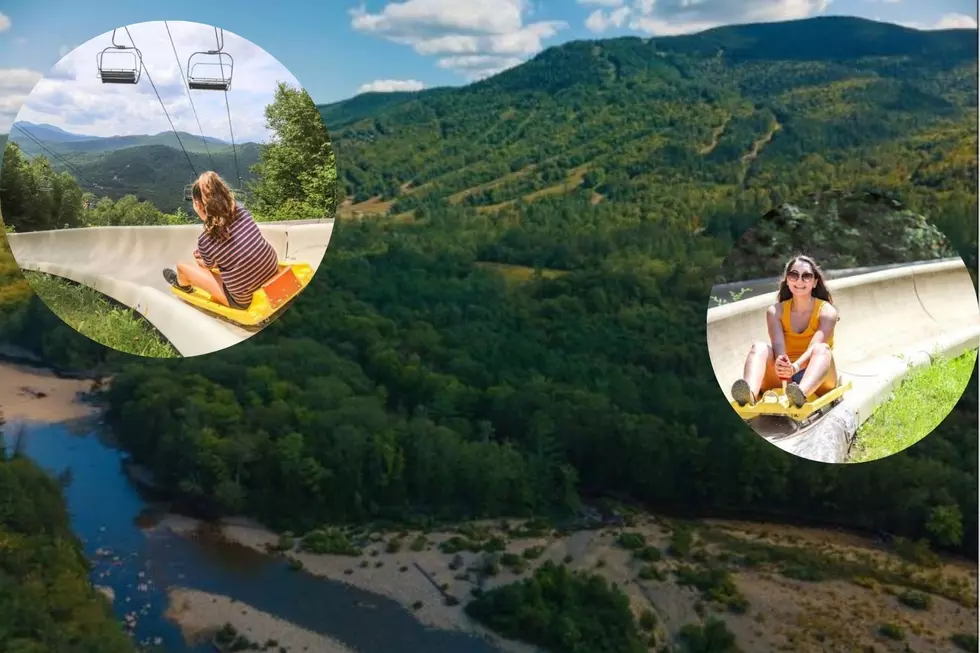The Largest Alpine Slide in North America is in New Hampshire