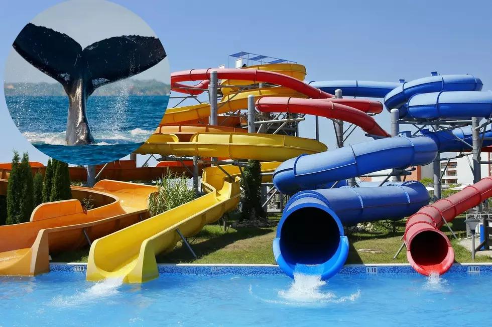 New Hampshire Water Park Should Probably Change Its Name