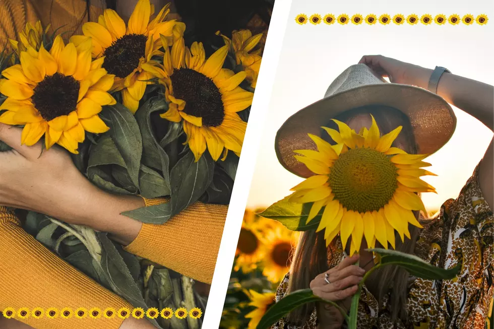 Canva.com