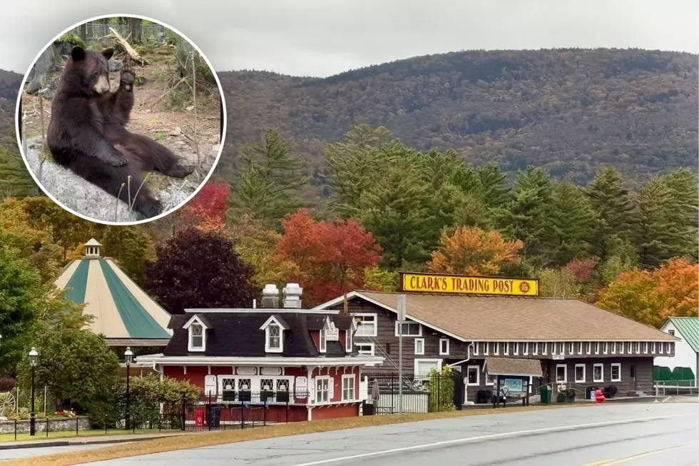 This Legendary New Hampshire Attraction Is Almost 100 Years Old