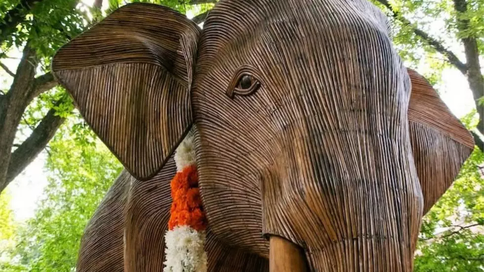 100 Giant Elephants Have Taken Over Boston, and It’s Worth the Drive