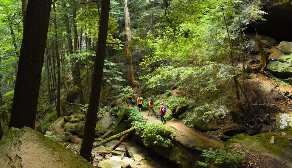 NJ Teens Rescued in NH: How to Get a Hike Safe Card
