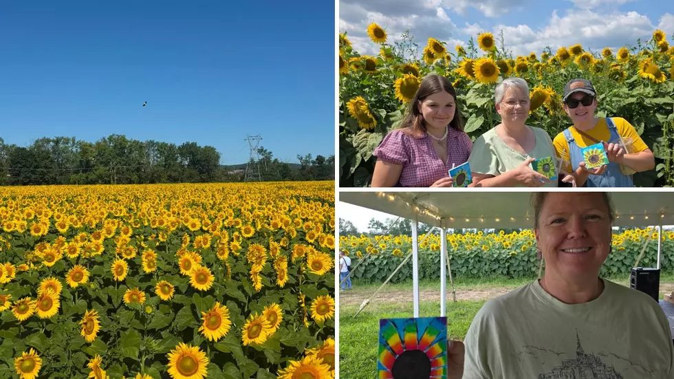 New Hampshire’s Biggest Sunflower Field Is Blooming And There’s A Festival To Celebrate