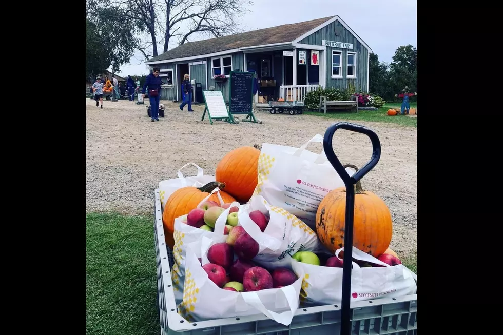 Credit: Butternut Farm via Facebook