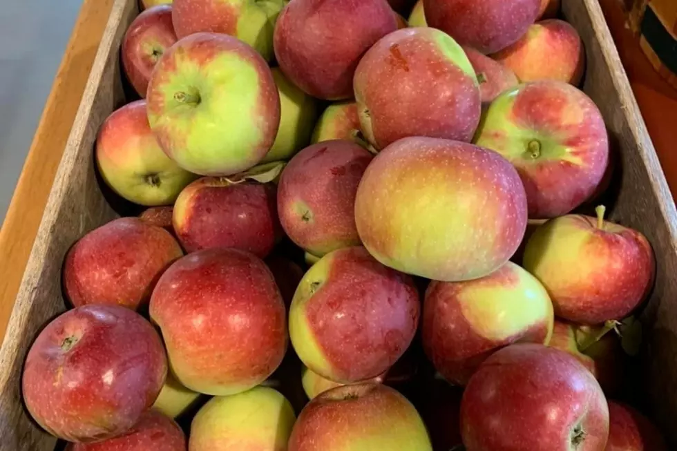 Credit: Carter Hill Orchard via Facebook