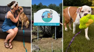 Mary’s Dogs Rescue Opens New Home For Rescued Pups in Barrington, NH