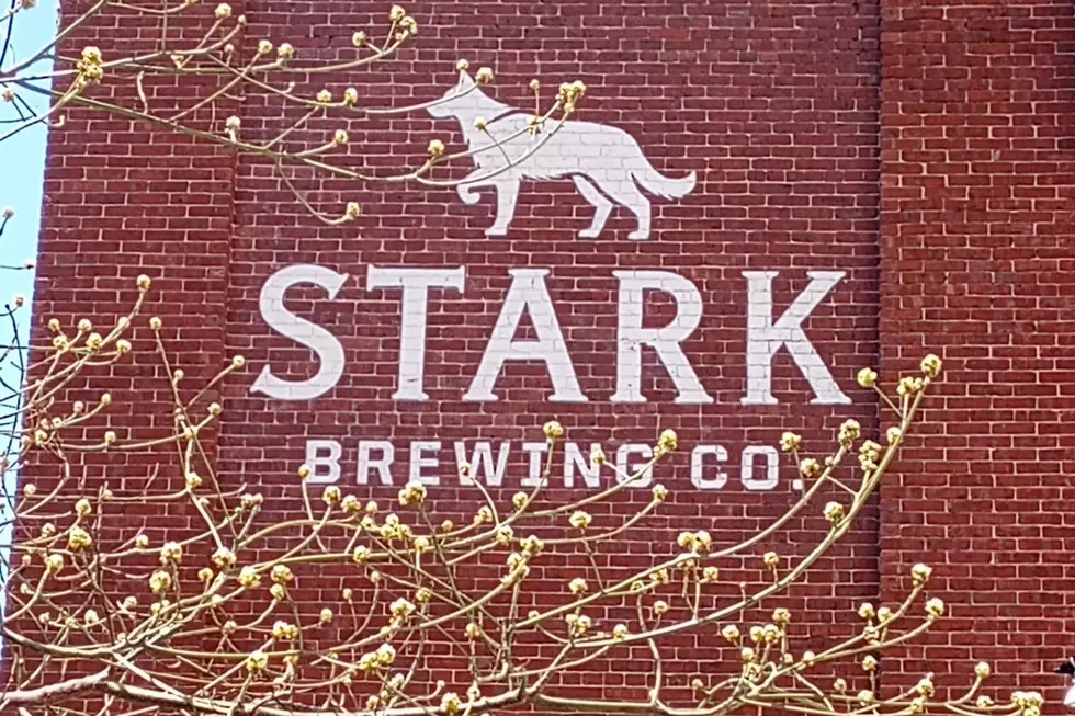 Credit: Stark Brewing Company via Facebook