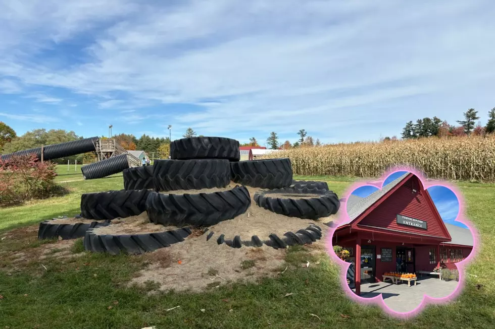How Did I Not Know Tendercrop Farm in Dover, NH Had This Hidden Gem?