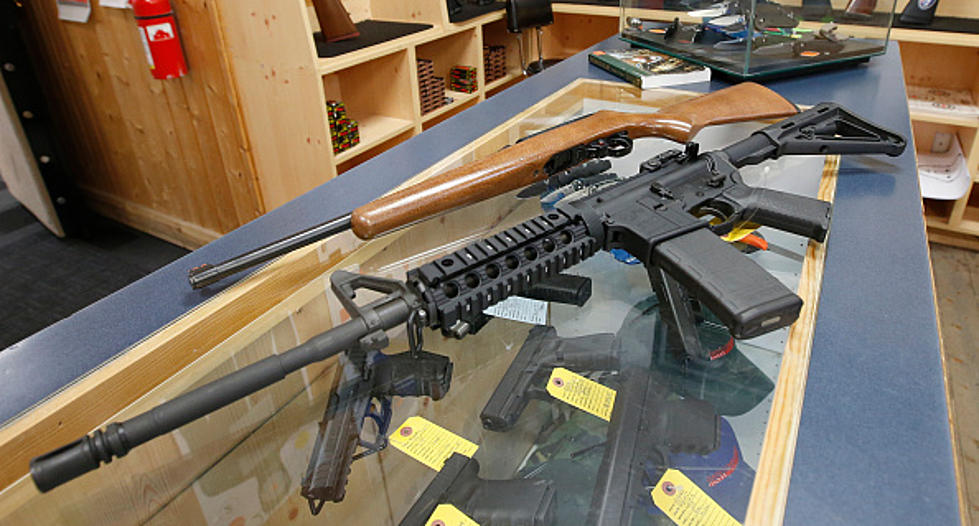 Another Hudson Valley Retailer To Stop Selling Assault-Style Guns