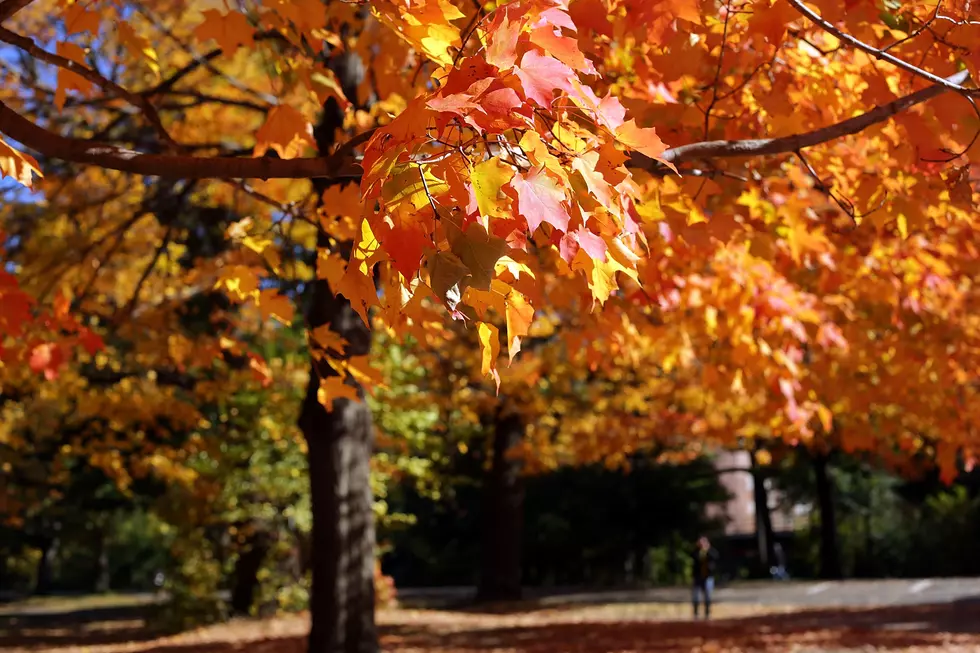 Slightly Warmer Weather Monday for the Hudson Valley