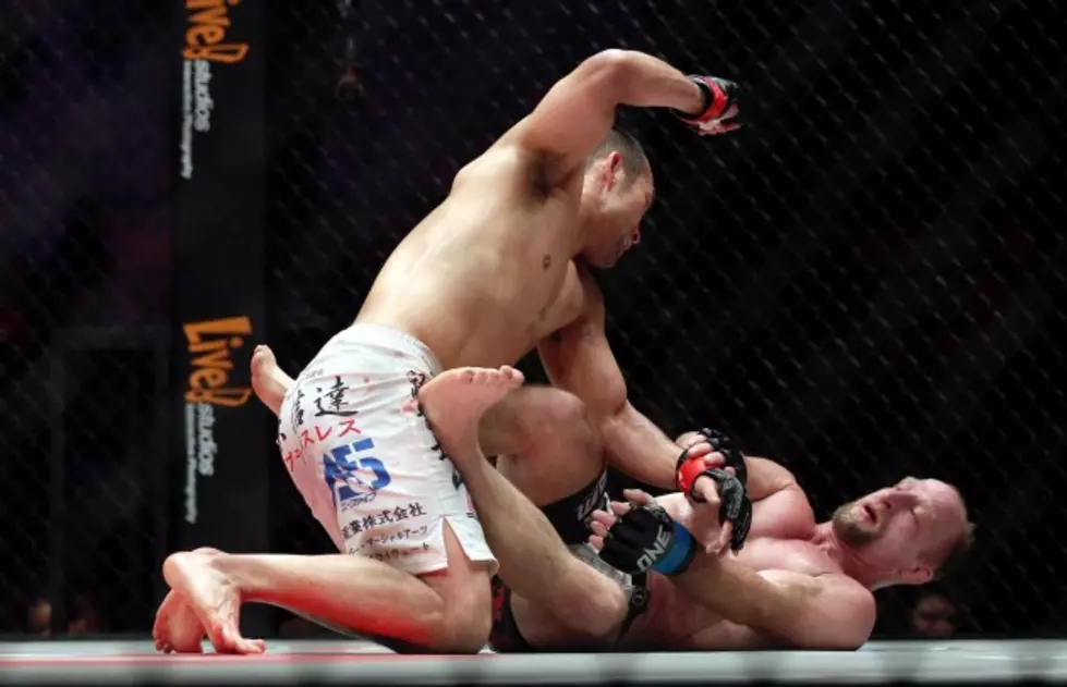 Should Professional MMA Still Be Banned in New York?