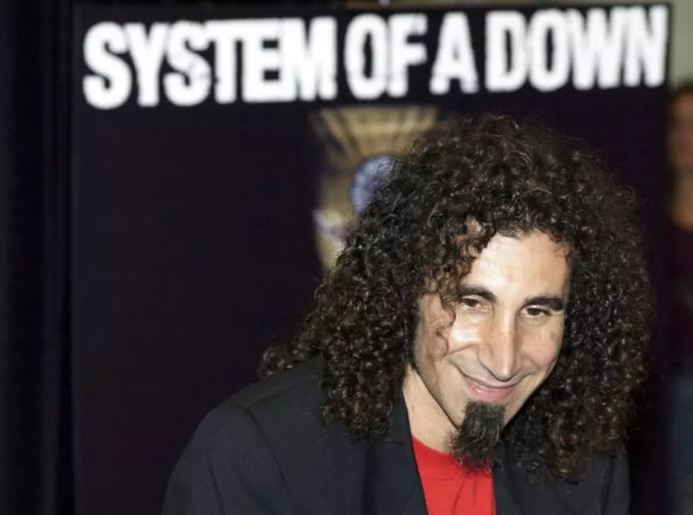 System Of A Down Music Performed On Instrument You Wouldn’t Expect