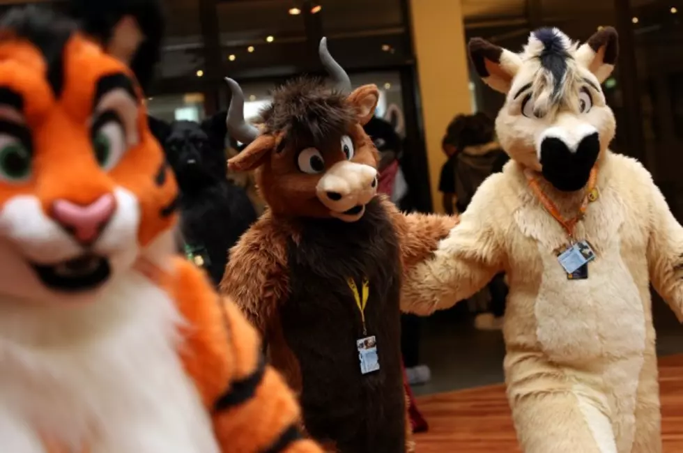 TV Host Learns About Furries; Loses It [VIDEO]