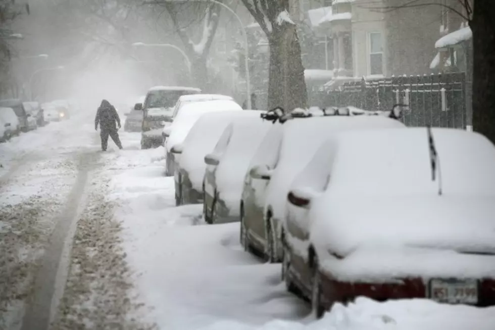 The Snowstorm Survival Kit