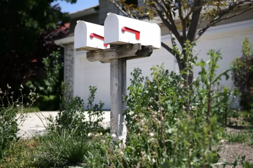 This Guy Is Way Too Into Mailboxes [AUDIO]