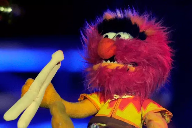 Dave Grohl VS Animal of the Muppets, Winner?