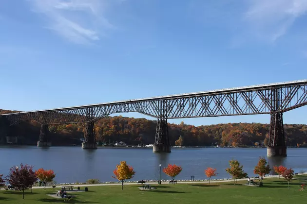 Walkway Over the Hudson Hosts Multiple Races for All Runners