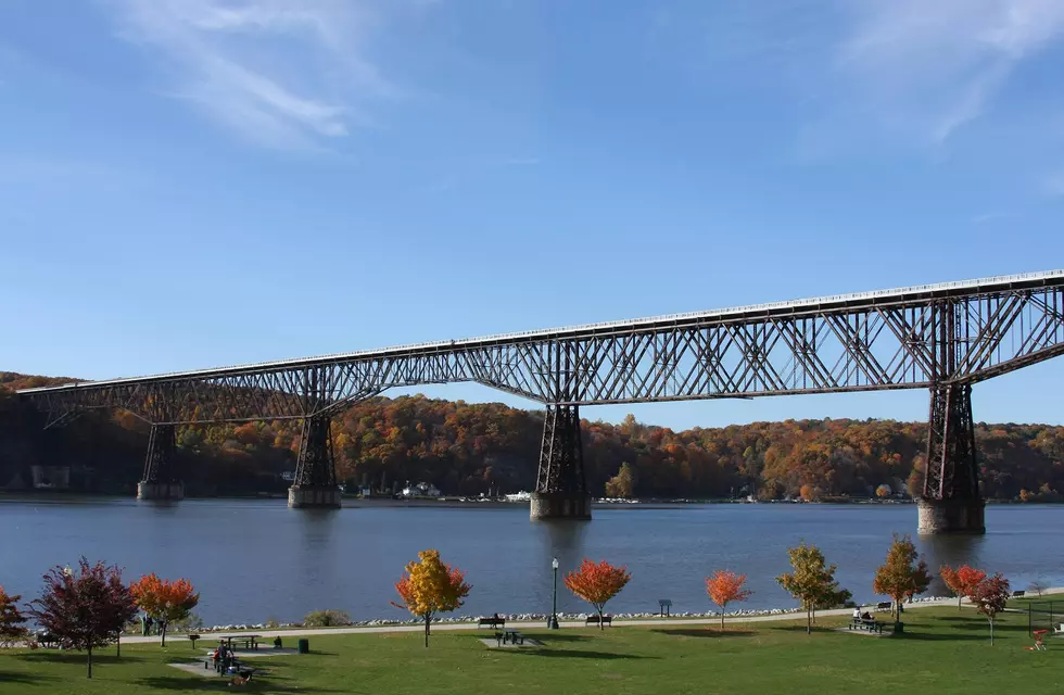 Walkway Over the Hudson Hosts Multiple Races for All Runners