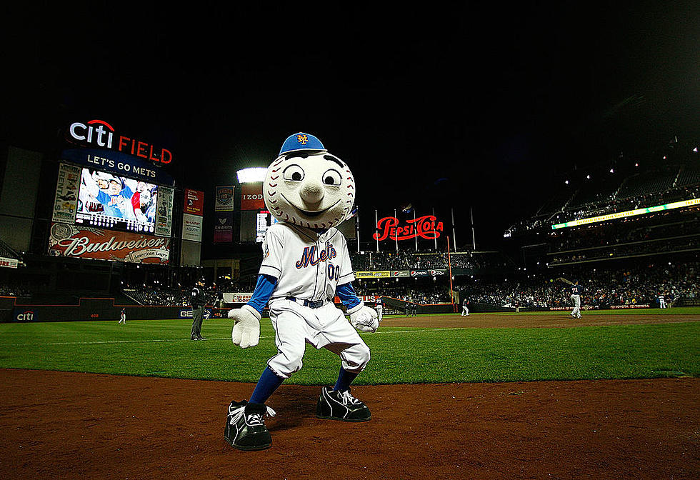 Mets Minors Team the Cyclones Play in the Hudson Valley