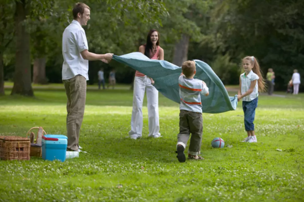 Dutchess County’s 4th Annual Special Needs Picnic Annoucned