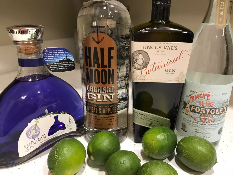 Is There Such a Thing as a Gin Season? What is Gin?