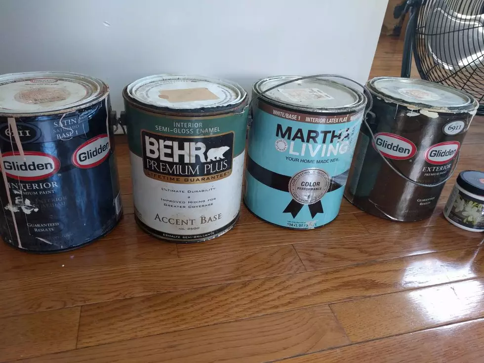 Used Paint Up For Adoption in Beacon (Free To a Good Home)