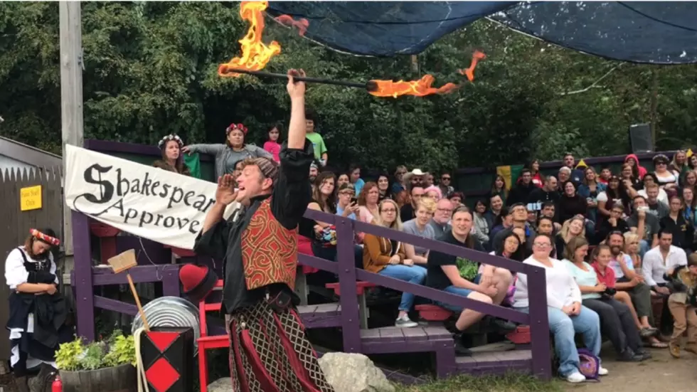 NY State Ren Fair Celebrates 40 years!