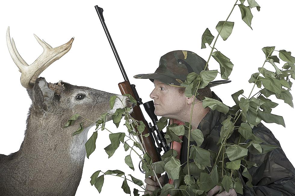 New York Deer Hunters, Take It, Tag It, Report It, Here&#8217;s How