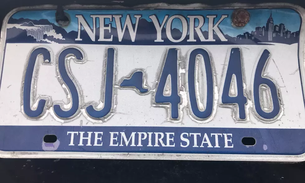 State Senator Suggesting Special License Plates