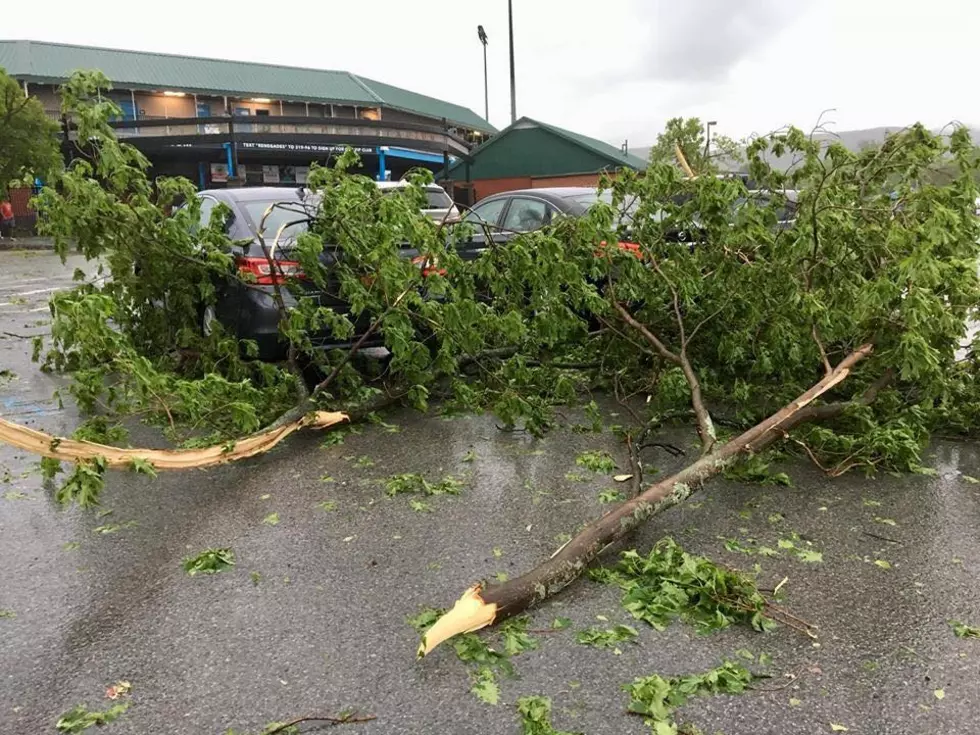 Hudson Valley Storm Damage Widespread, Dutchess Stadium Hit Hard