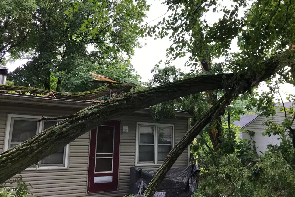 Trees Land On Home In City Of Poughkeepsie
