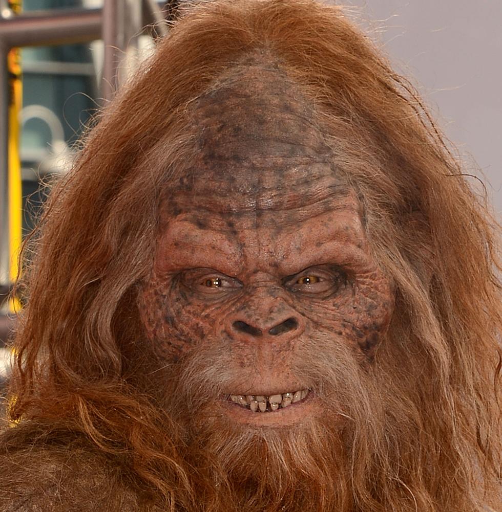 Congressional Candidate Busted for Sasquatch Erotica