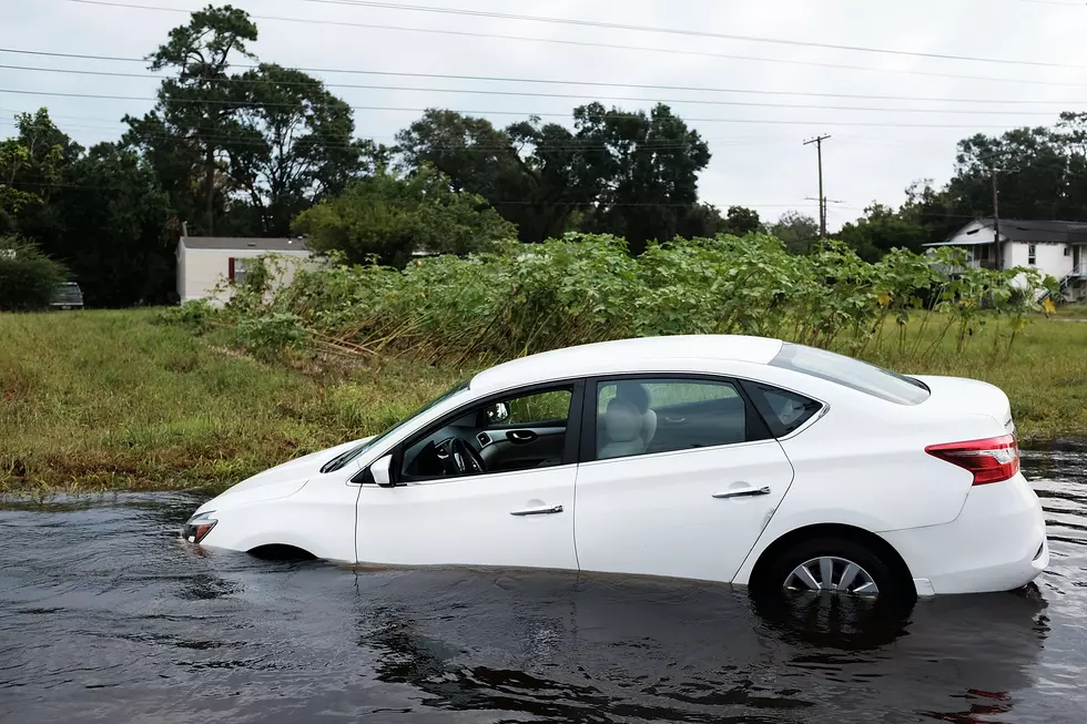 NY Senator Wants to Warn You About Hurricane Cars