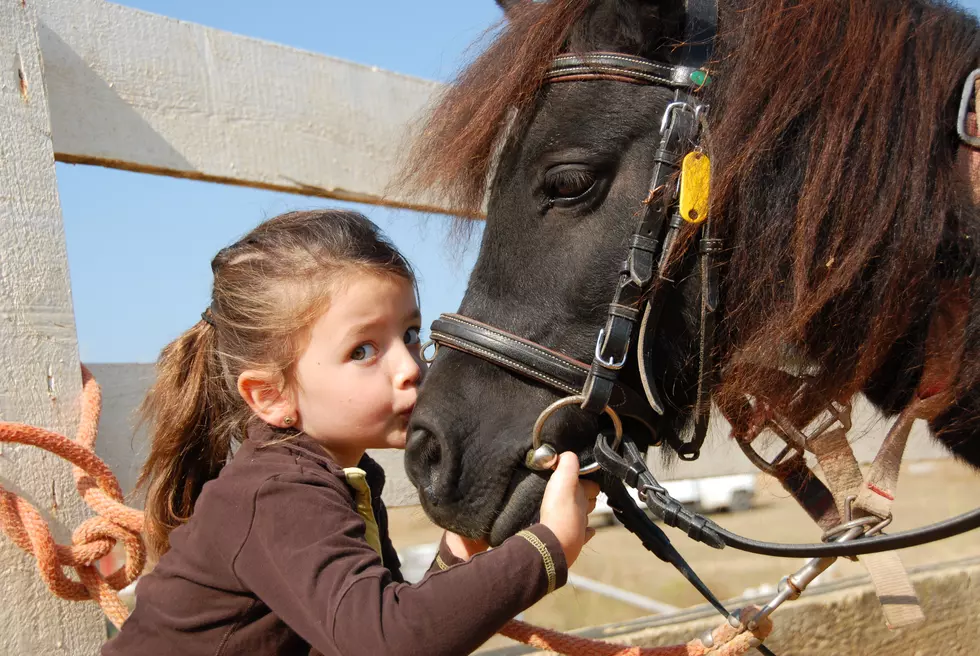 PONYSITTERS &#8211;  Yes, It Exists, But Sadly For Us Big Kids, Is Geared Towards Kids Ages 4-16