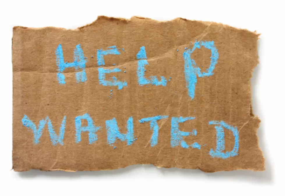 Help Wanted!  Consider A Flagger/Laborer Job This Summer!