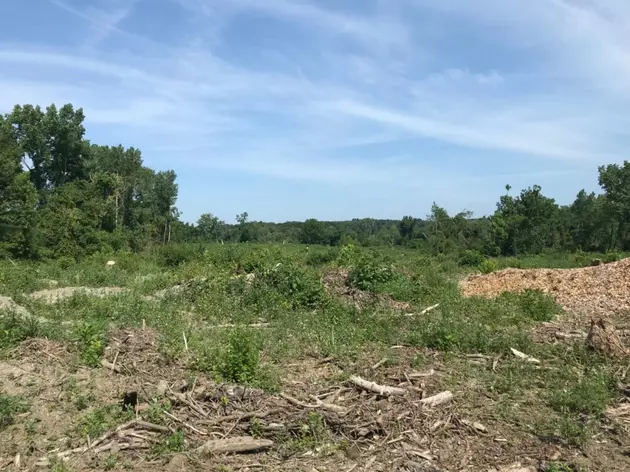 Request For Proposals Sought For 15-Acre Newburgh Property